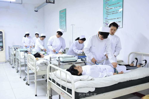 河南人力資源信息咨詢服務(wù)指南與圖片資源